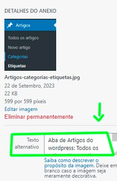 Imagem de print tirado da tela do wordpress na parte de detalhes do anexo, onde mostra tamanho da imagem, data, pixels, mas o destaque se volta para a parte do texto alternativo no qual está com destaque verde.